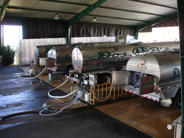 Receiving fresh milk